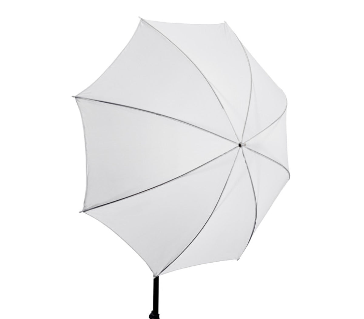 Studio-Durchlichtschirm 101cm 40" - innen & aussen weiß