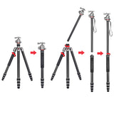 JUSINO Leichtes Karbon Tripod Monopod mit Kugelkopf bis 160cm 12kg FGS-30 TK-254C