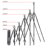JUSINO Karbon Traveller Tripod mit Kugelkopf Monopod-Funktion bis 171,5cm 15kg TK-284C FGS-36